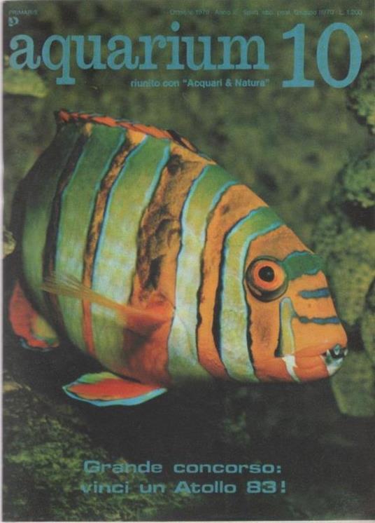 Aquarium. 1979 n 10 - copertina