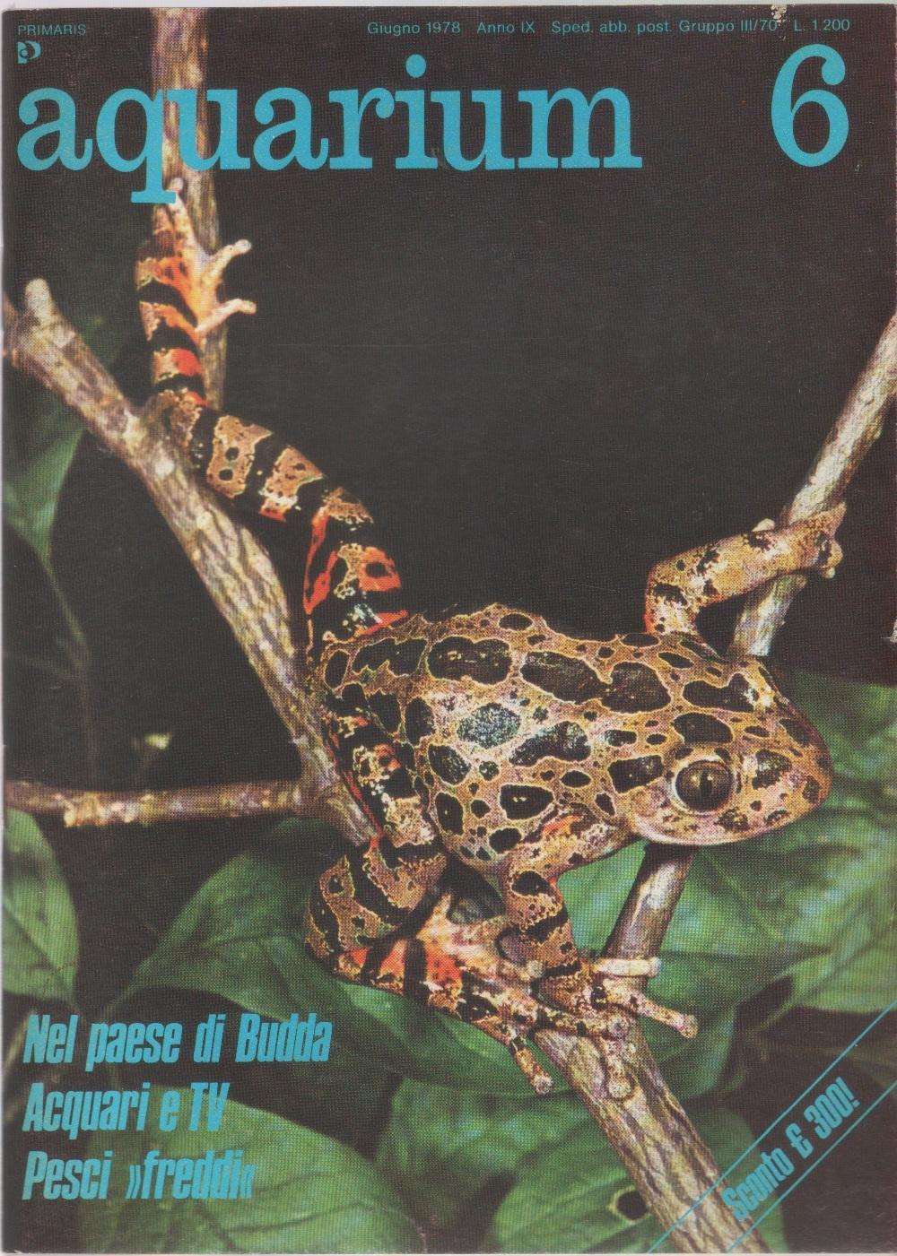 Libreria Biblos di Costa Pierandrea