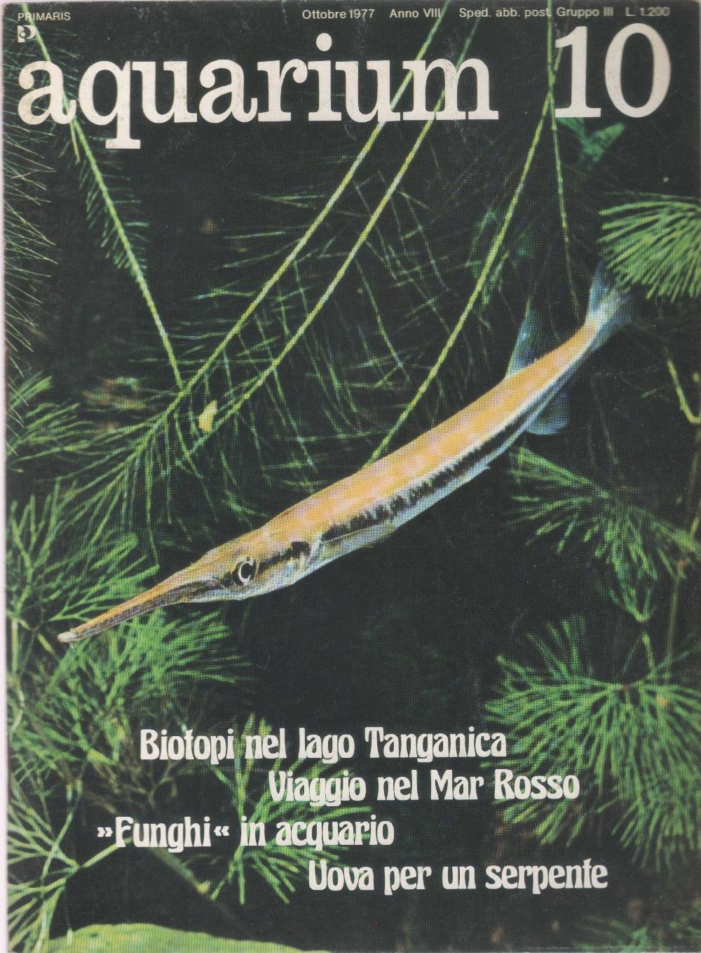 Libreria Biblos di Costa Pierandrea