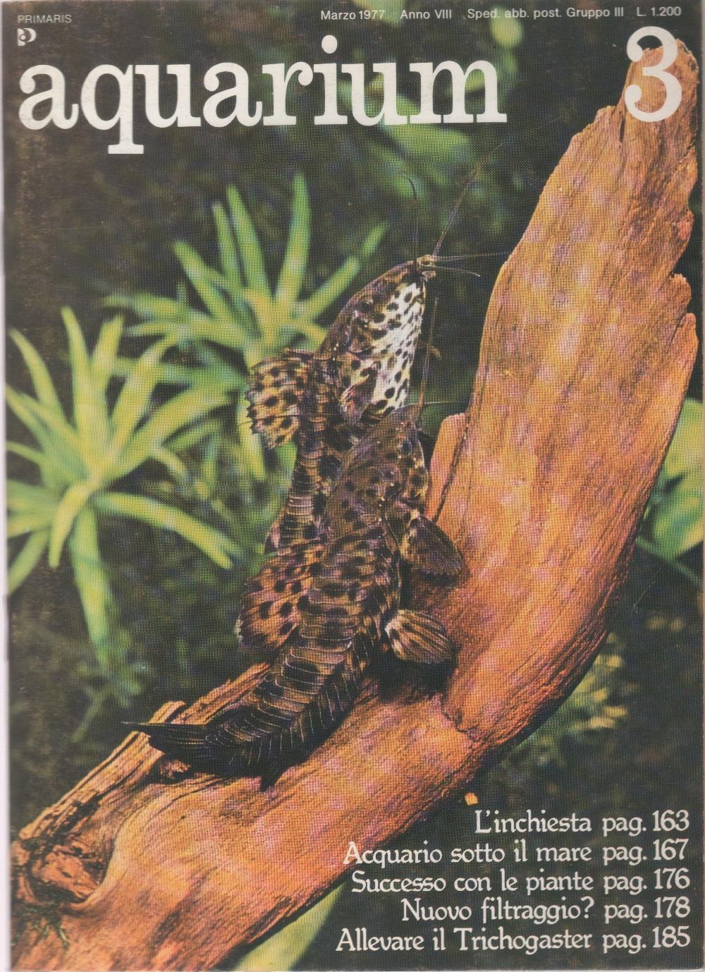 Aquarium. 1977 n 3