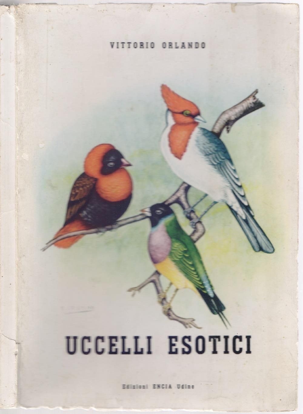 Libreria Biblos di Costa Pierandrea