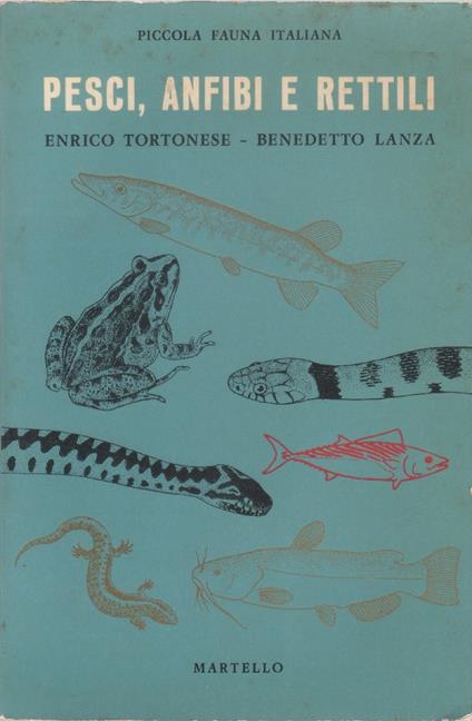Pesci, anfibi e rettili - copertina