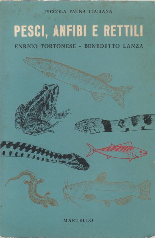 Pesci, anfibi e rettili - copertina