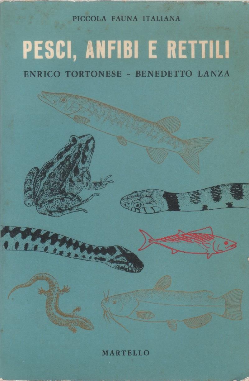 Libreria Biblos di Costa Pierandrea