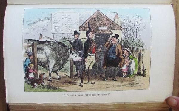 L'angolo del collezionista