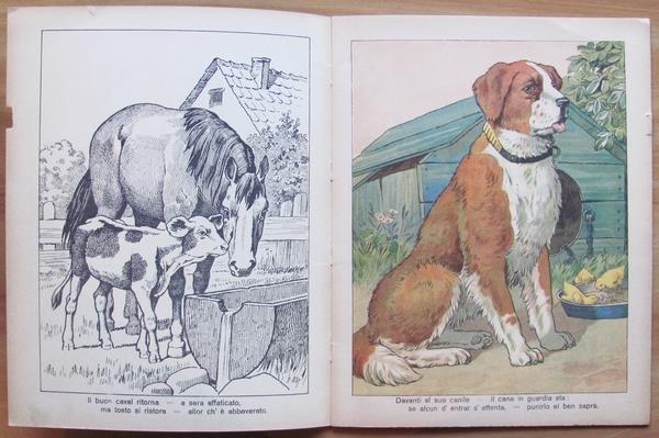 L'angolo del collezionista