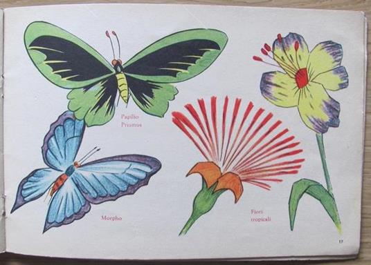 Il Capitello. Corso Di Disegno Per Le Scuole Elementari Di: Favari Mario (A Cura Di) - 2