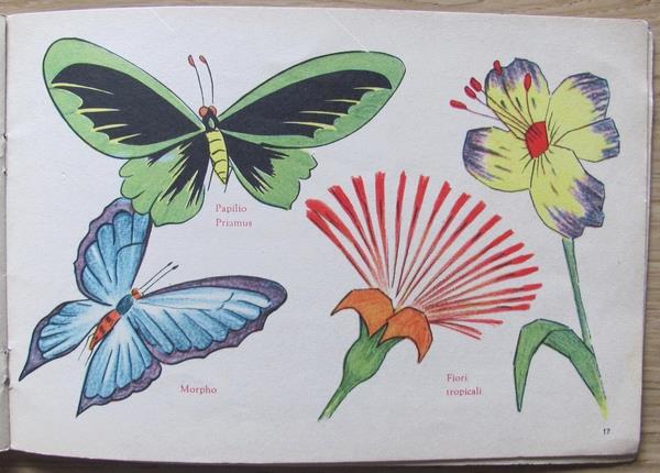 L'angolo del collezionista