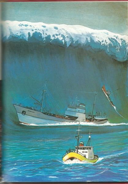 L'angolo del collezionista