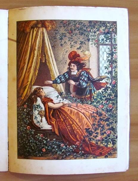 La Belle Au Bois Dormant - Bibliothèque Des Enfants - Charles Perrault - 5