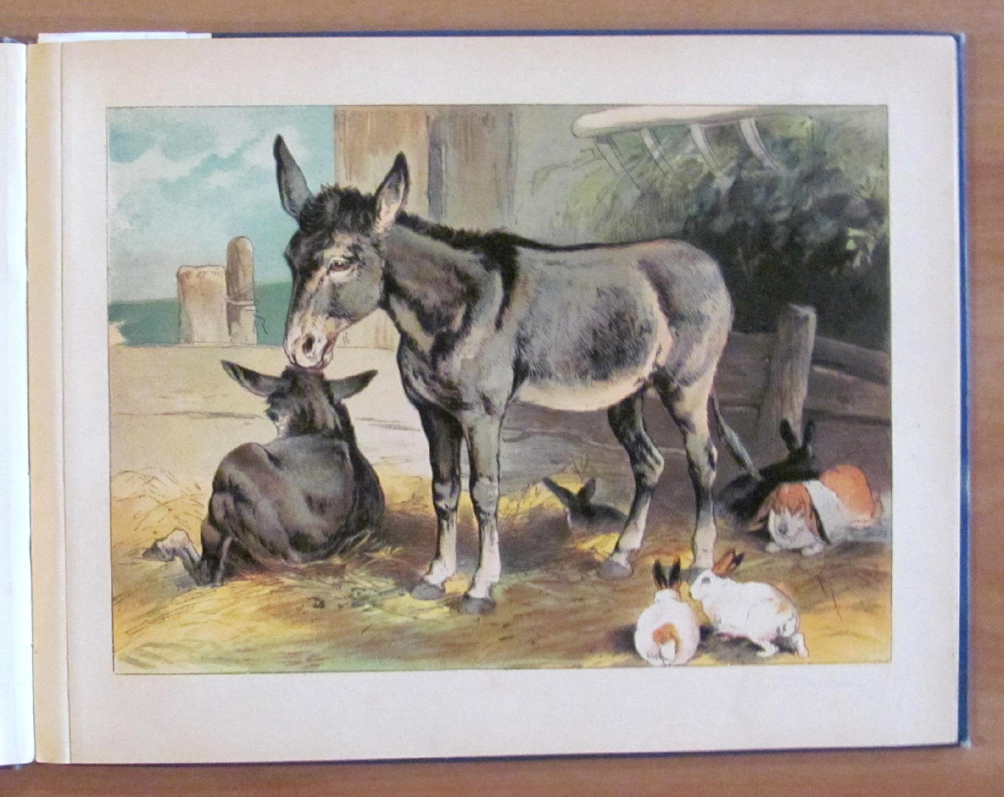 Nel Regno Delle Bestie