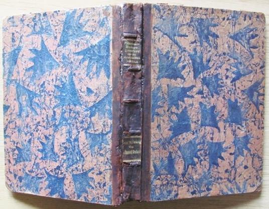 Prinzessin Badura. Ein Marchen Aus Den Arabischen Nachten. Potsdam Ed. Muller & Co. 1920 - 2