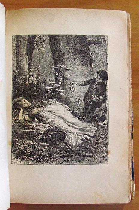 Novelle - Gli Amici Di Collegio Camilla Furio Un Gran Giorno Alberto Fortezza La Casa Paterna - Edmondo De Amicis - 5