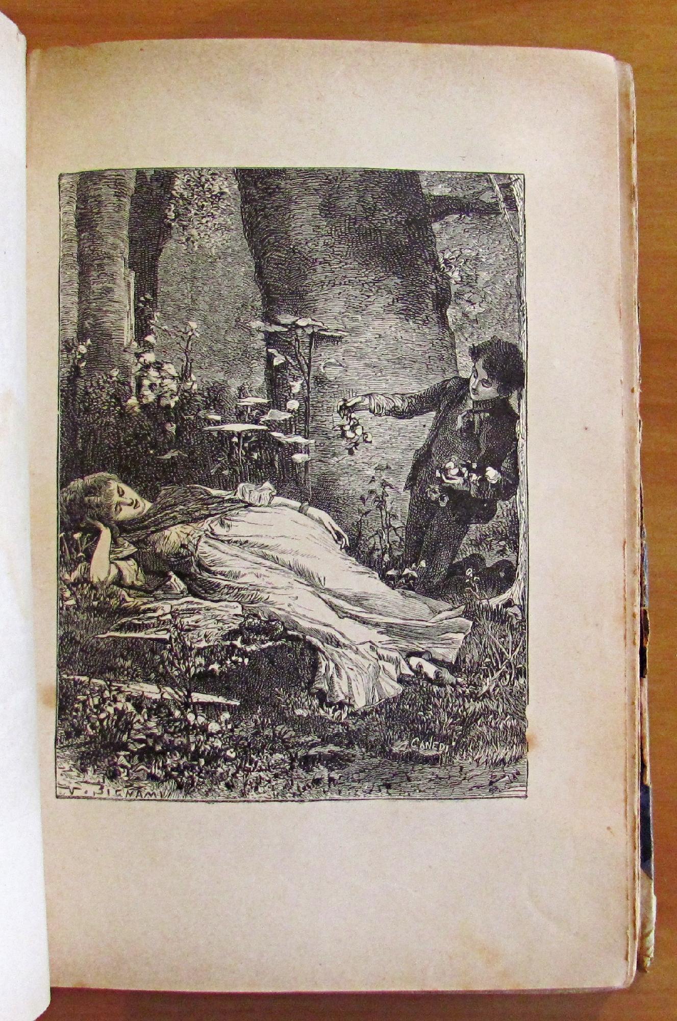 Novelle - Gli Amici Di Collegio Camilla Furio Un Gran Giorno Alberto Fortezza La Casa Paterna