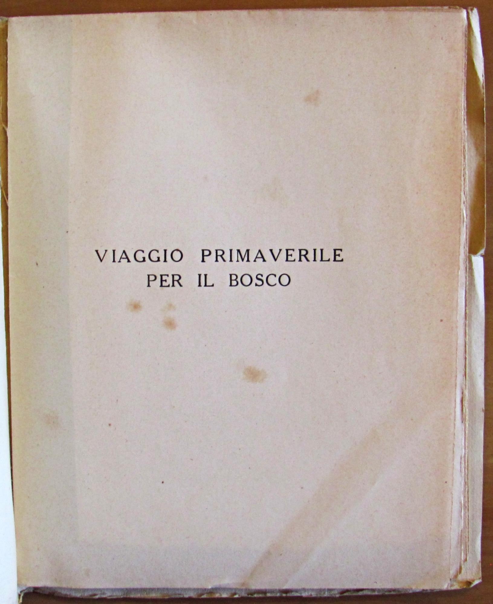 L'angolo del collezionista