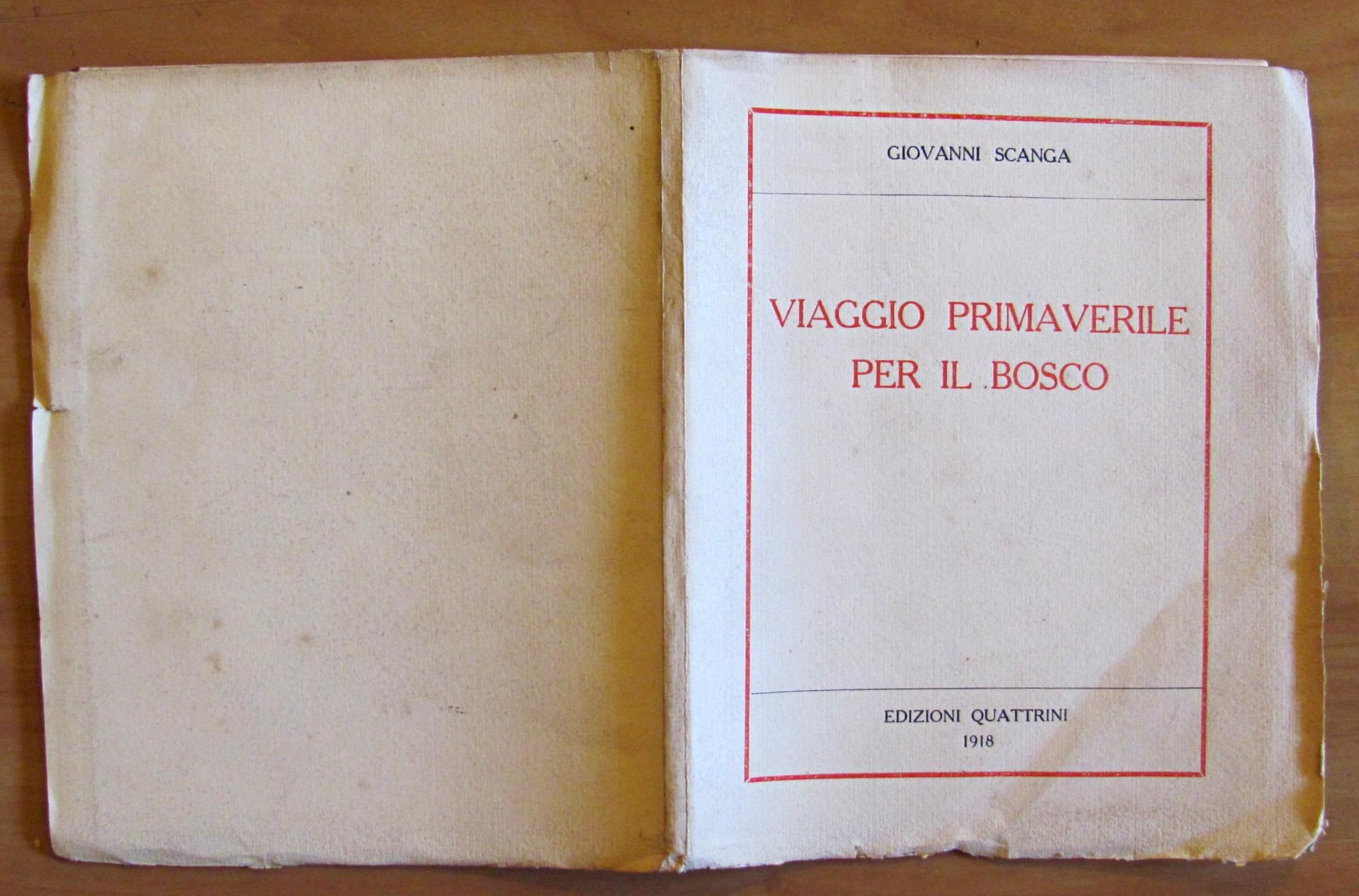 Viaggio Primaverile Per Il Bosco Di: Scanga Giovanni