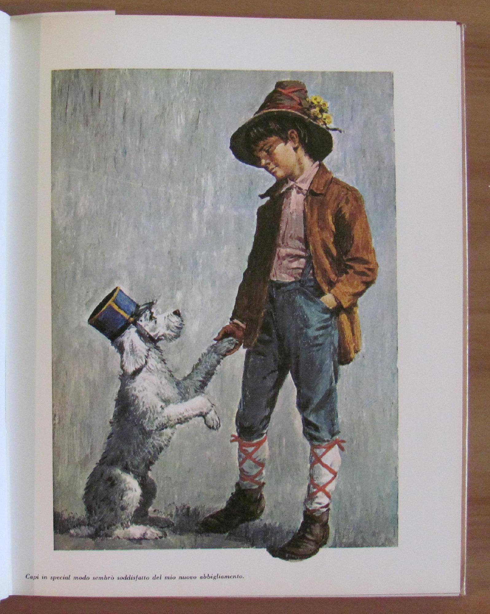 Senza Famiglia - Collana Classici Per Ragazzi