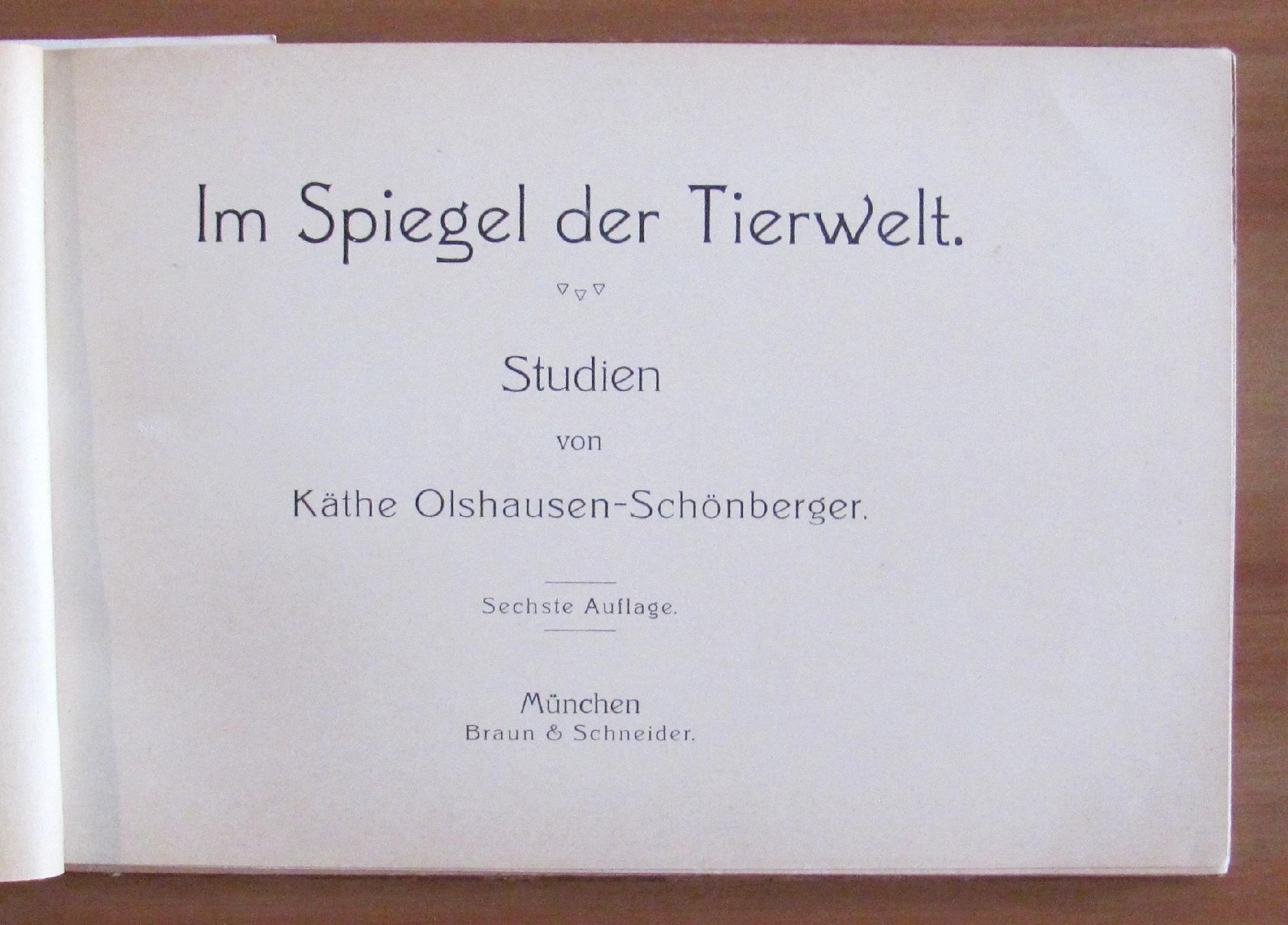 L'angolo del collezionista