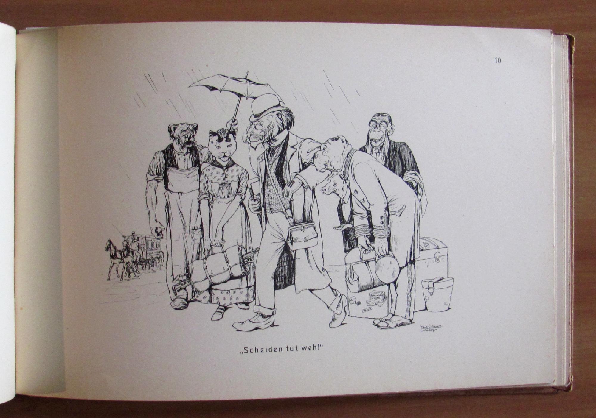 Im Spiegel Der Tierwelt (Nello Specchio Del Mondo Animale)