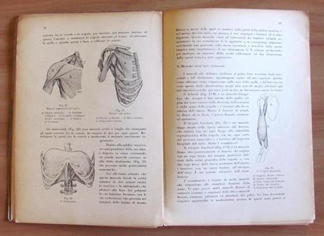 Il CAPOSQUADRA - Guida Teorico - Pratica dell'Istruttore di Ginnastica Artistica - 2