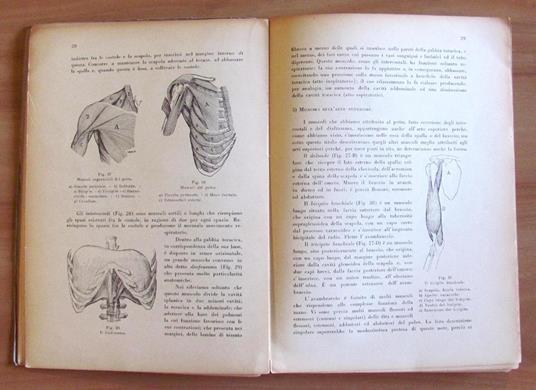 Il CAPOSQUADRA - Guida Teorico - Pratica dell'Istruttore di Ginnastica Artistica - 2