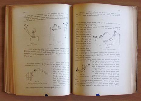 Il CAPOSQUADRA - Guida Teorico - Pratica dell'Istruttore di Ginnastica Artistica - 5