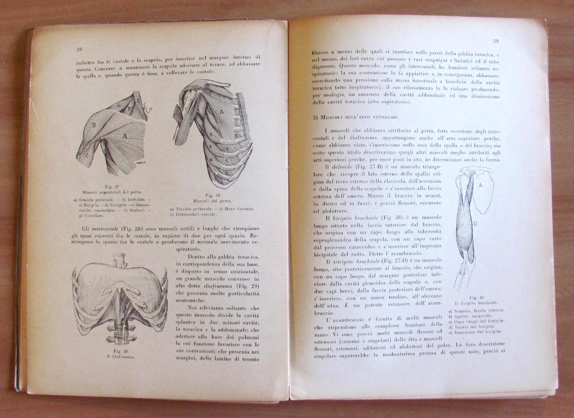 L'angolo del collezionista