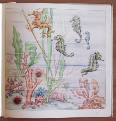 Animali Strani - Bruno Tomba - 3