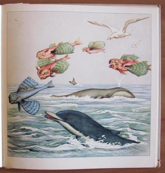 Animali Strani - Bruno Tomba - 4