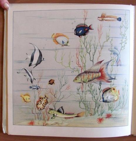 Animali Strani - Bruno Tomba - 5