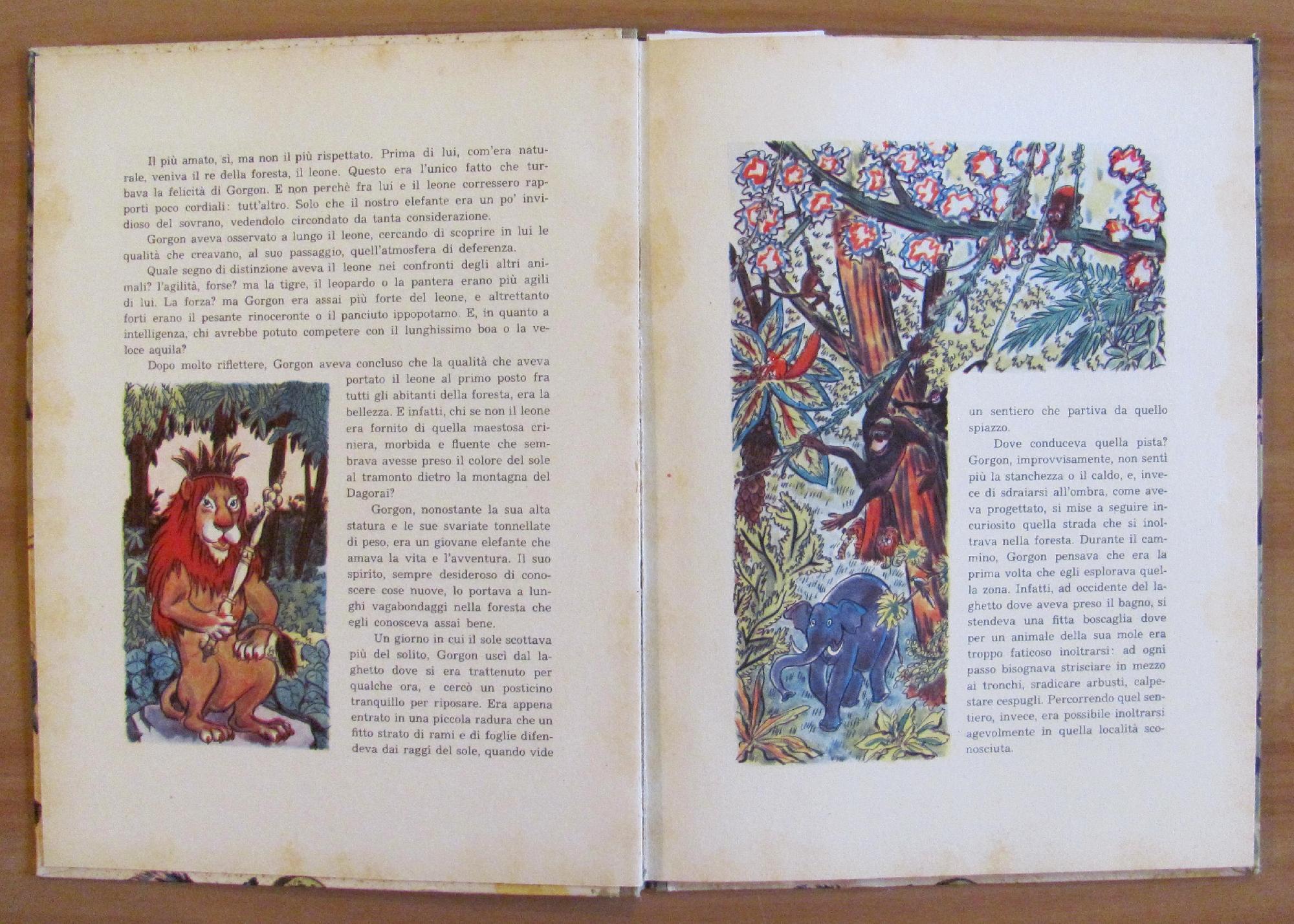 Gorgon Elefante Vanitoso