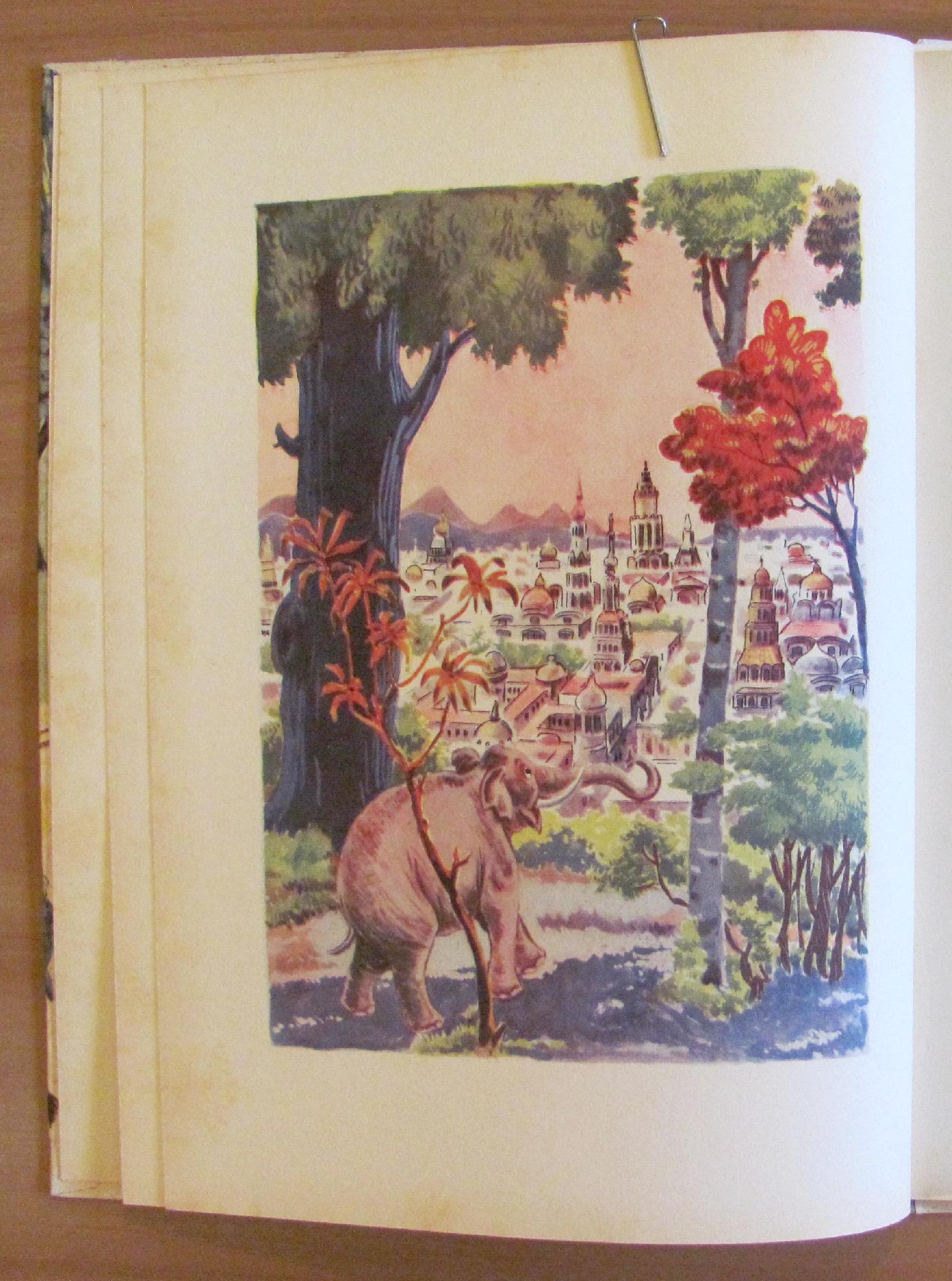 Gorgon Elefante Vanitoso