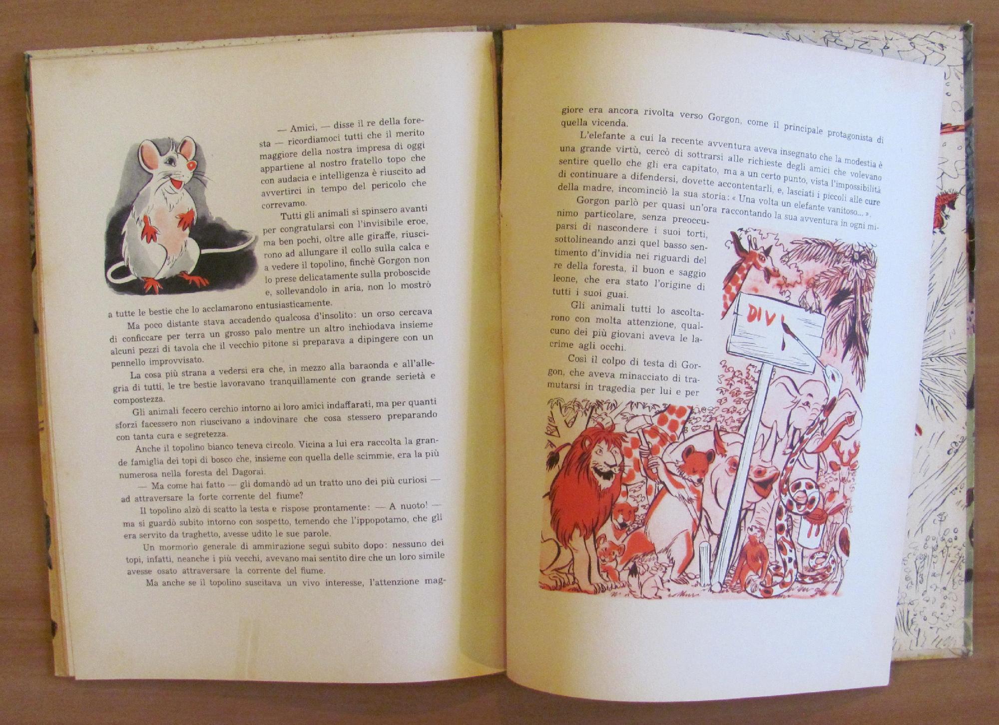 Gorgon Elefante Vanitoso