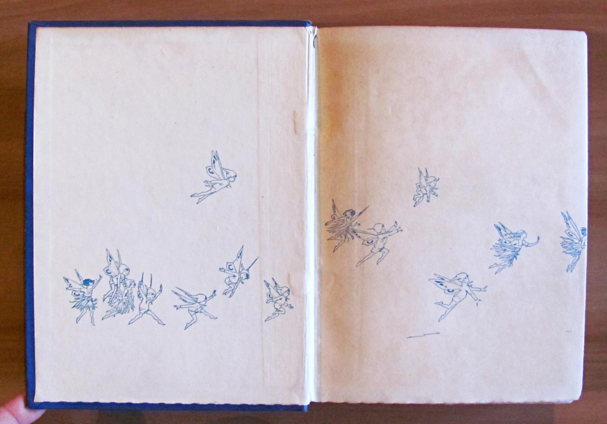 L'angolo del collezionista