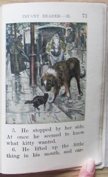 L'angolo del collezionista