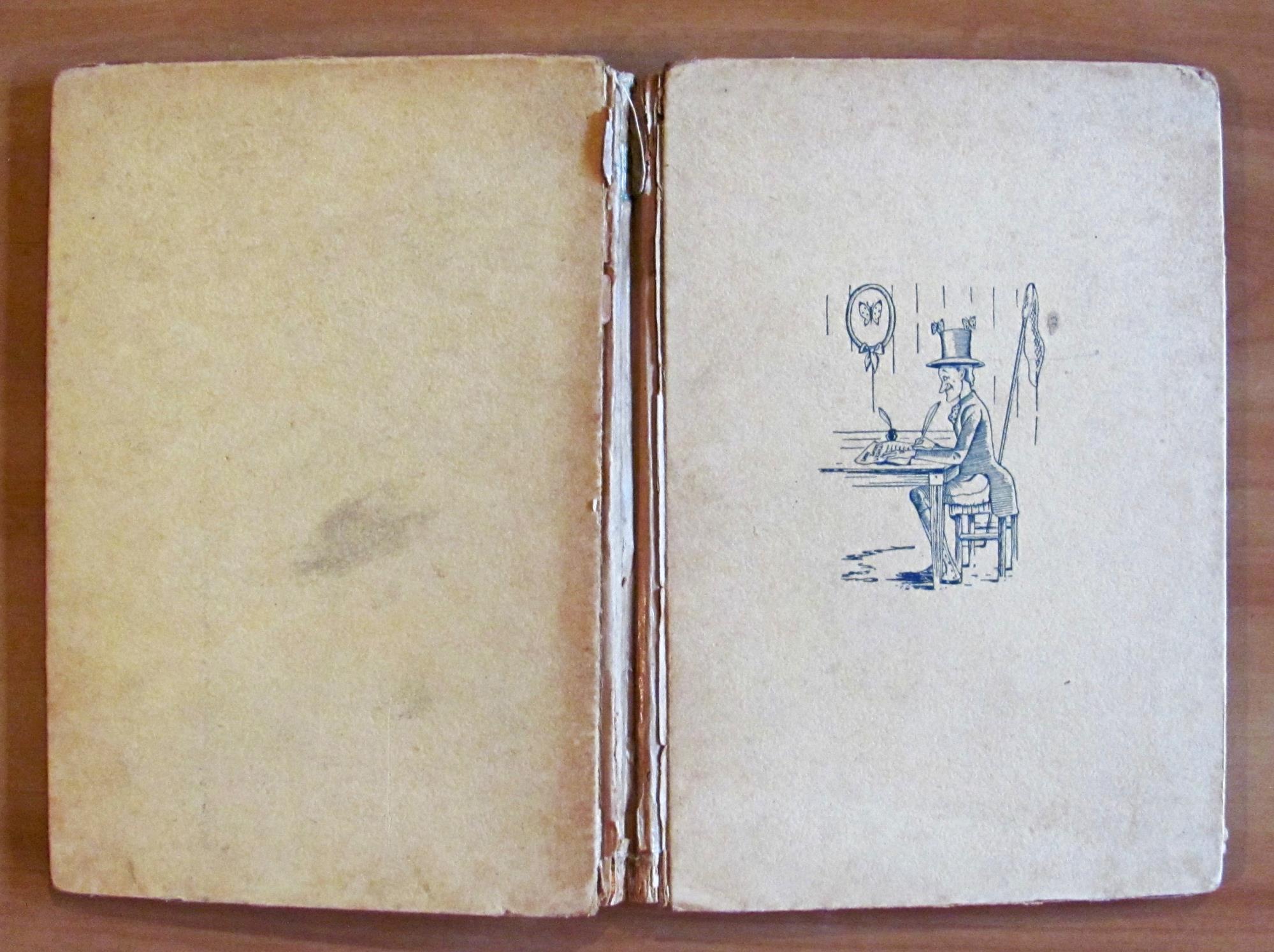 Reizen En Avonturen Van Mijnheer Prikkebeen