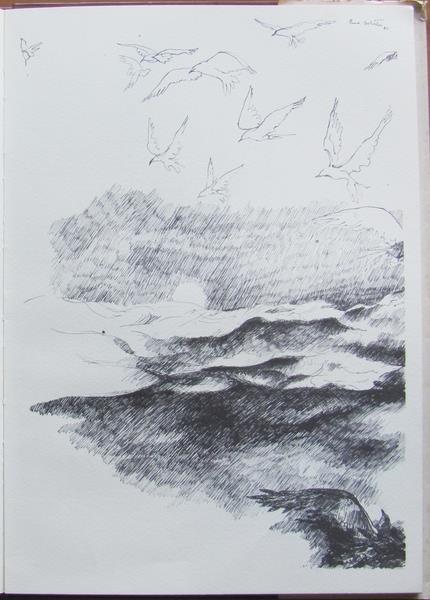 L'angolo del collezionista