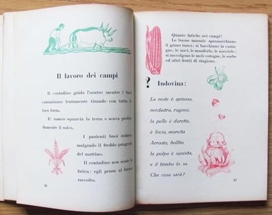 Germoglio. Letture Per Gli Alunni Della Ii Classe Di: Squarciapino G. (A Cura Di) - 4