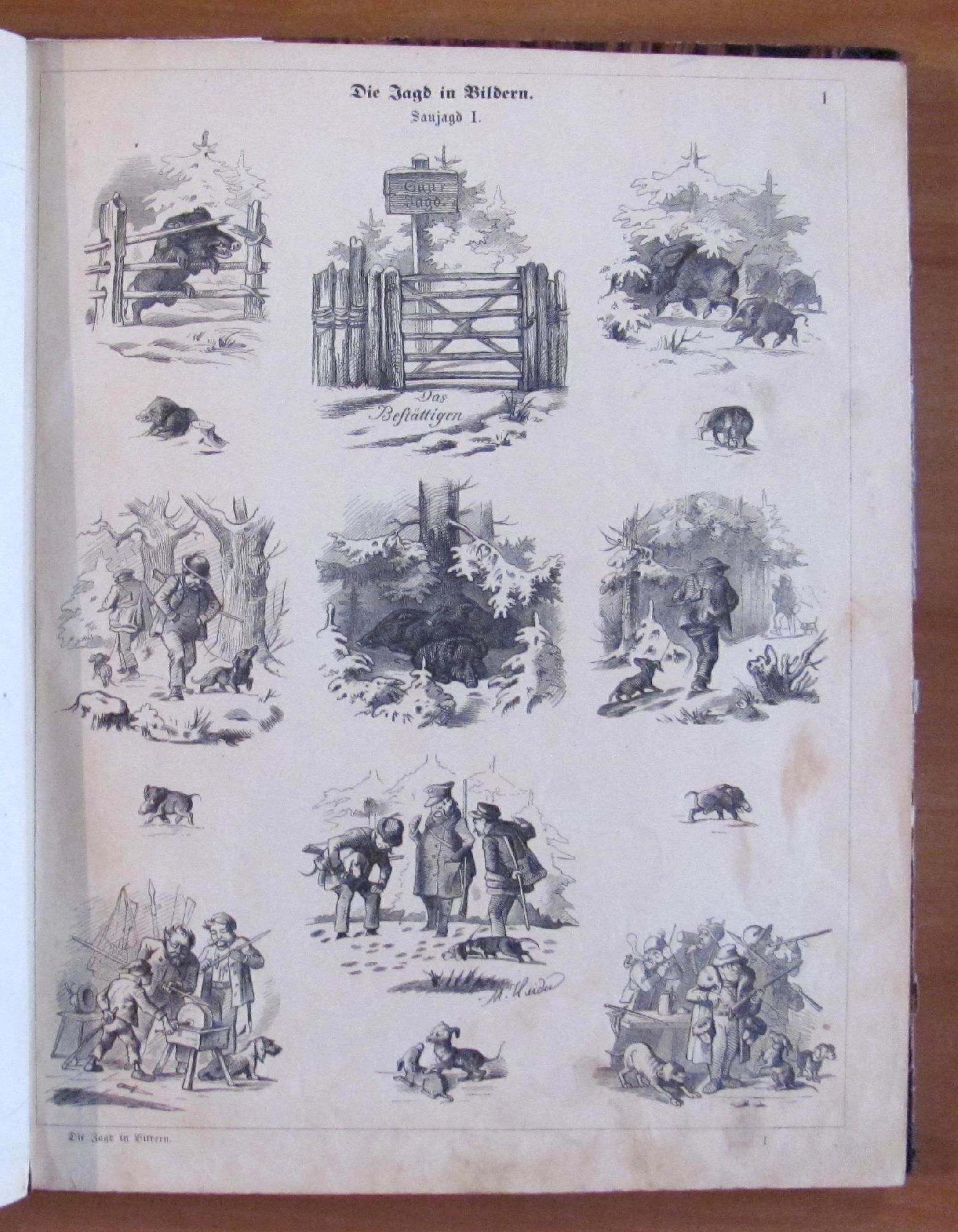 L'angolo del collezionista