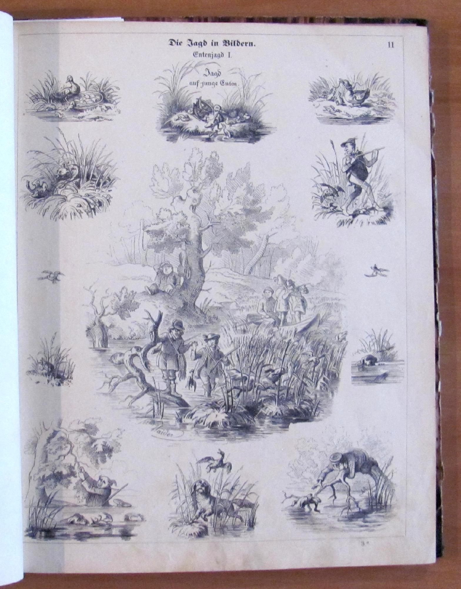 Die Jagd In Bildern - Fine '800 - Ill. Haider - La Caccia