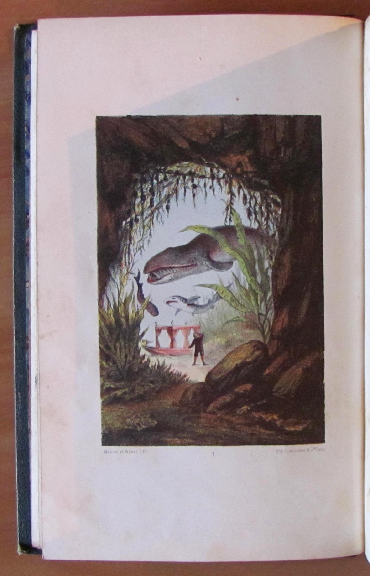 Voyage Au Fond De La Mer Di: De La Blanchere H.