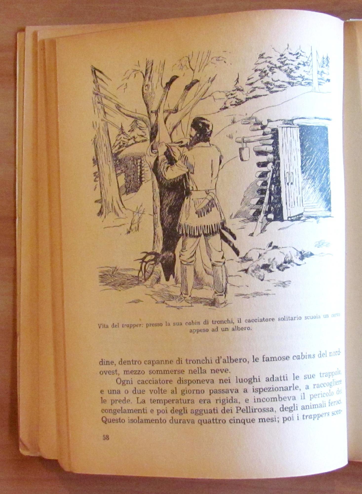 La Storia Del Far West