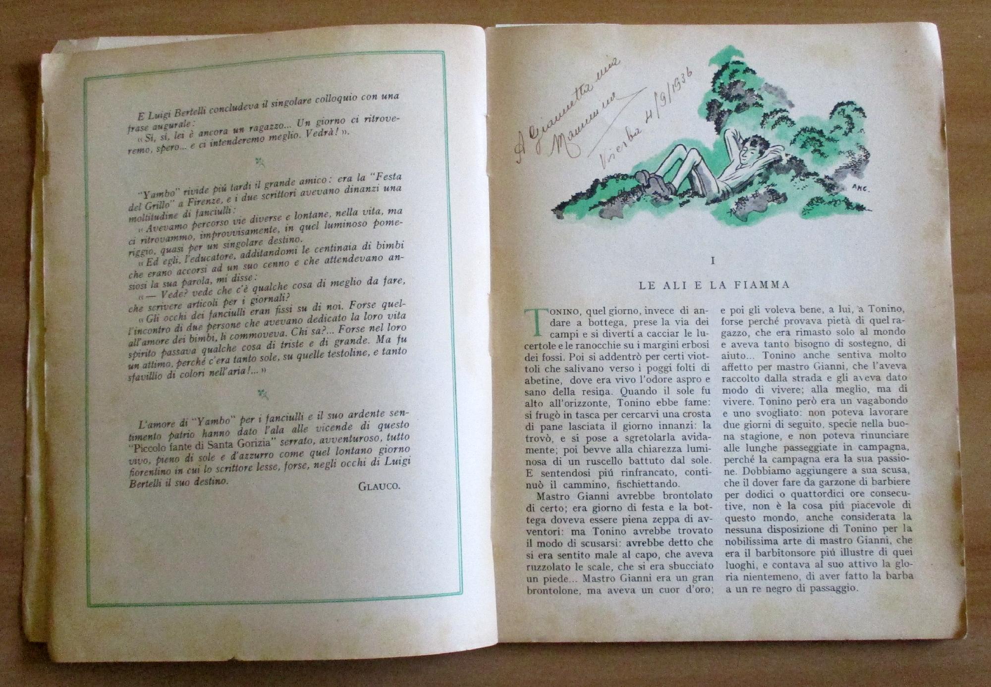 Il Piccolo Fante Di Santa Gorizia
