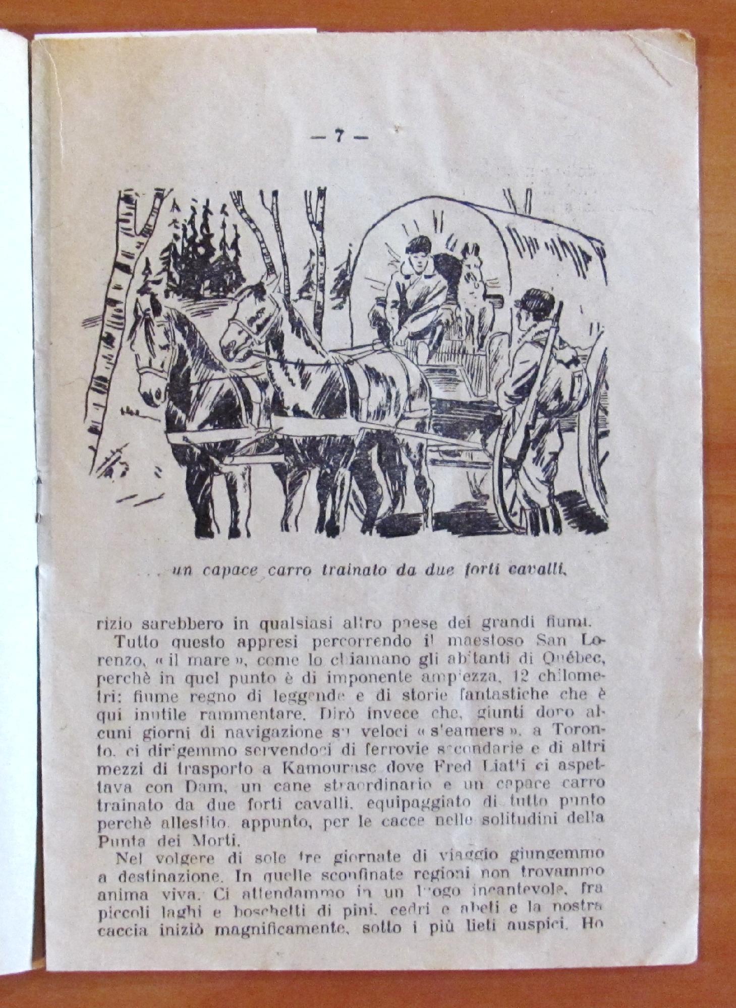 Il Lupo Argentato - Collana L'Avventura (Raccolta Di Brevi Romanzi D'Avventure)