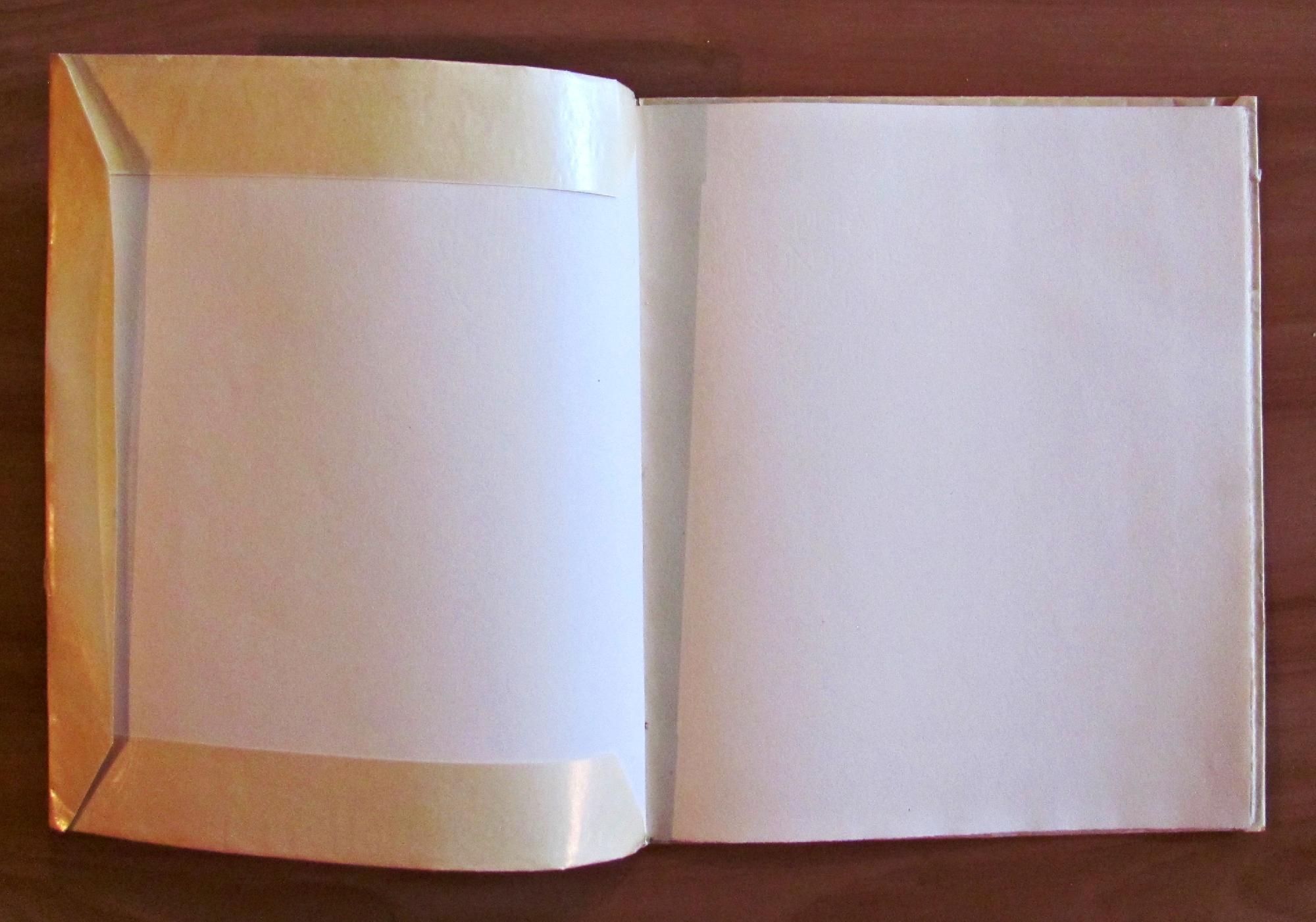 L' Uomo Che Rubo' La Gioconda