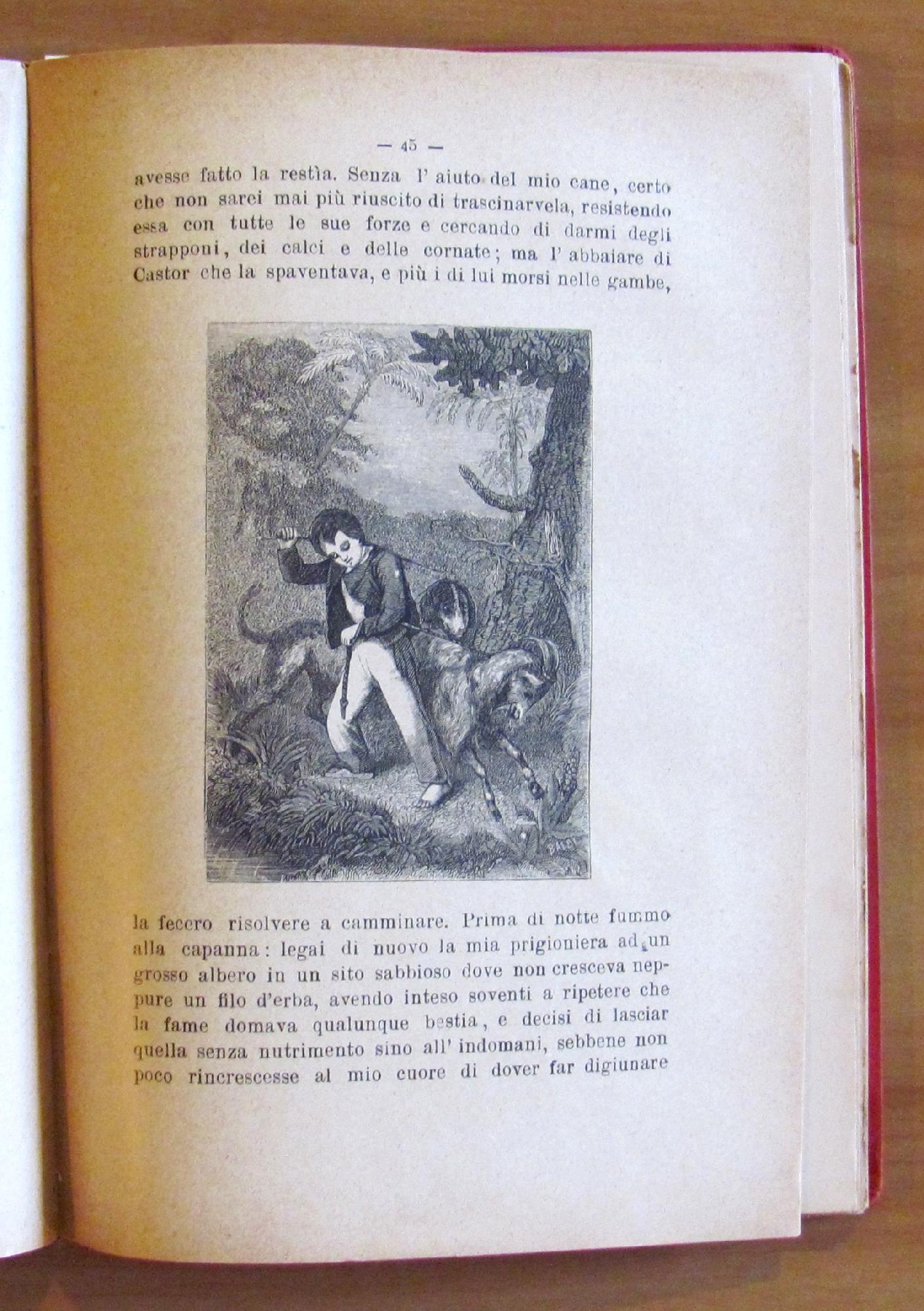 Il Robinson Di Dodici Anni Storia Interessante D'Un Mozzo Da Bastimento Naufragato Su Un'Isola Deserta