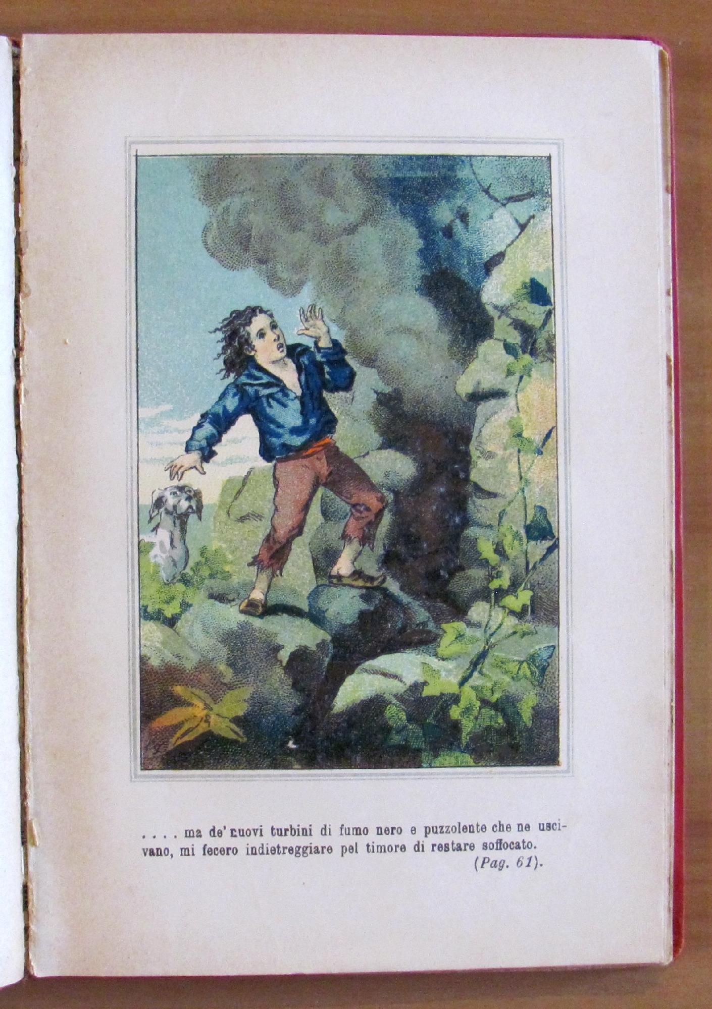 Il Robinson Di Dodici Anni Storia Interessante D'Un Mozzo Da Bastimento Naufragato Su Un'Isola Deserta