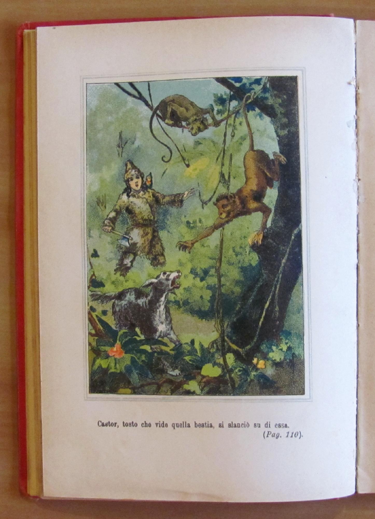 Il Robinson Di Dodici Anni Storia Interessante D'Un Mozzo Da Bastimento Naufragato Su Un'Isola Deserta