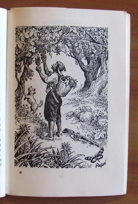 Robinson Crusoe - English Picture Readers - Daniel Defoe - 5