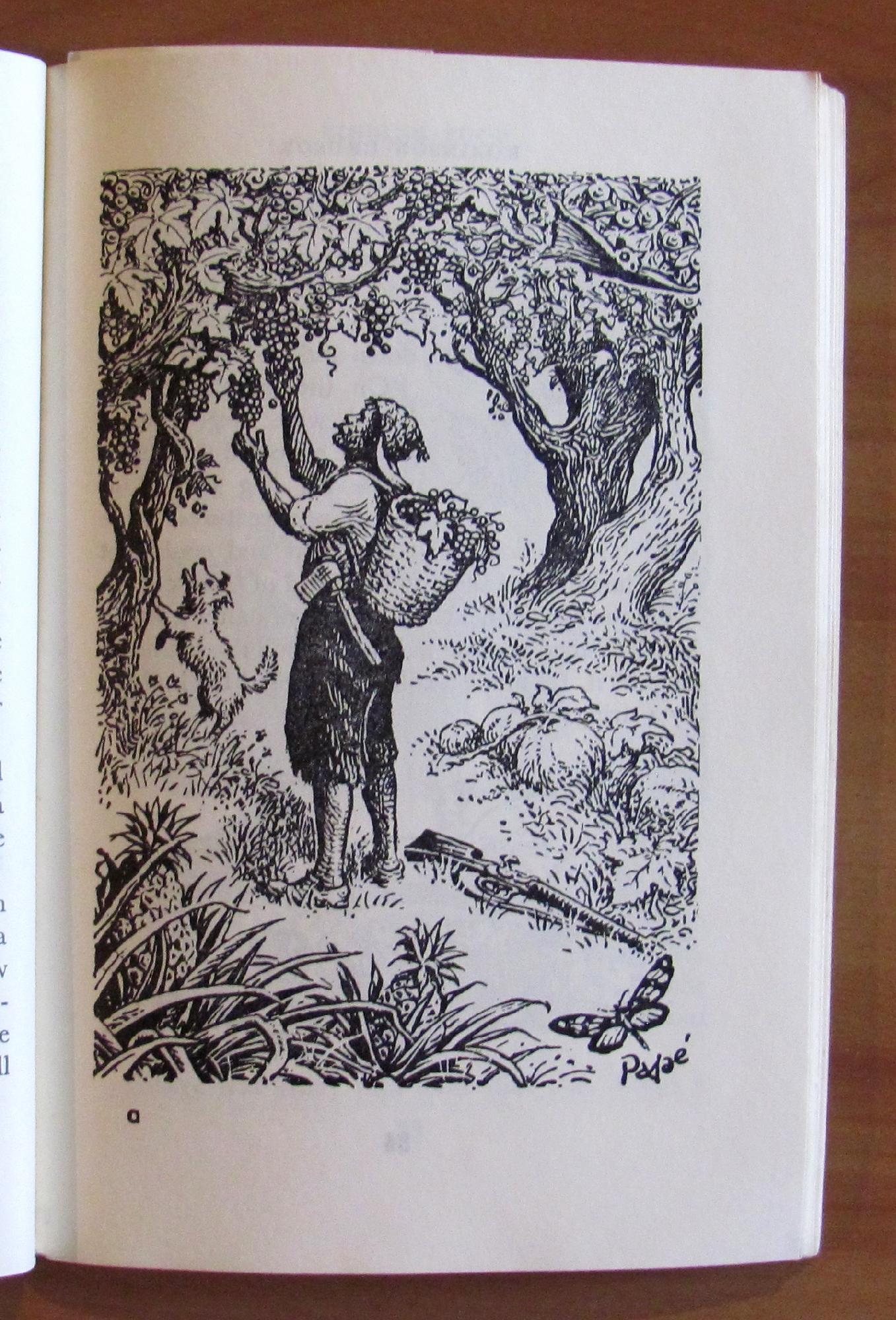 Robinson Crusoe - English Picture Readers